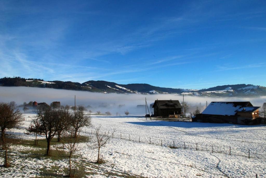 Naturnoech Unterageri Номер фото